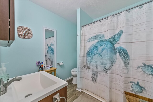 23001 Fresca St, Galveston, TX 77554 - bathroom featuring vanity and toilet
