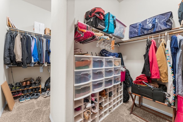 11134 Honeysuckle Haven Dr, Cypress, TX 77433 - walk in closet with carpet flooring