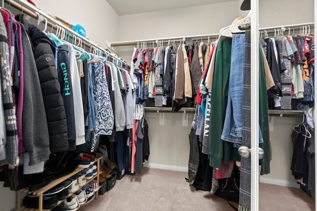 16231 Westley Ridge Dr, Hockley, TX 77447 - spacious closet featuring carpet flooring