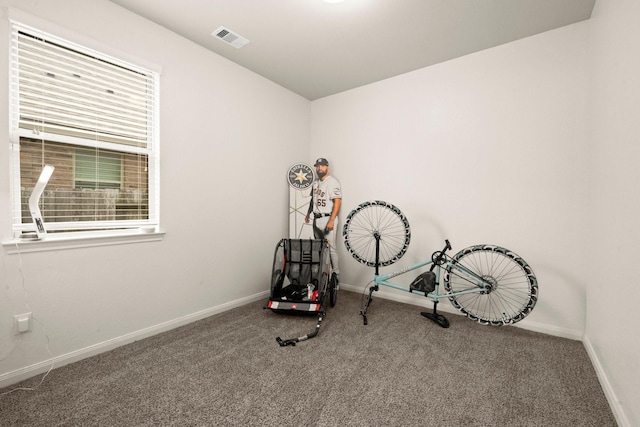 16231 Westley Ridge Dr, Hockley, TX 77447 - exercise room featuring carpet and baseboards