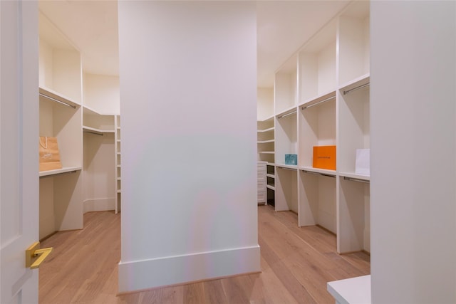 spacious closet featuring light wood finished floors