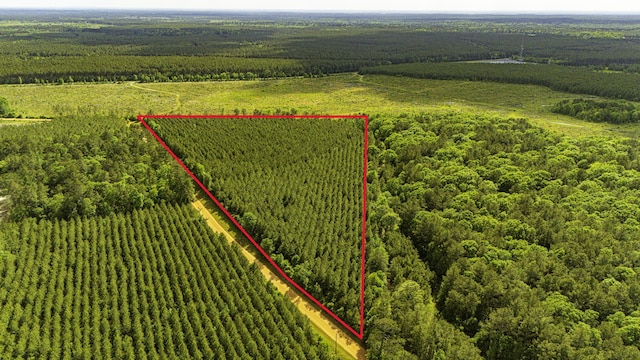 TBD Menard Chapel Rd, Livingston, TX 77351