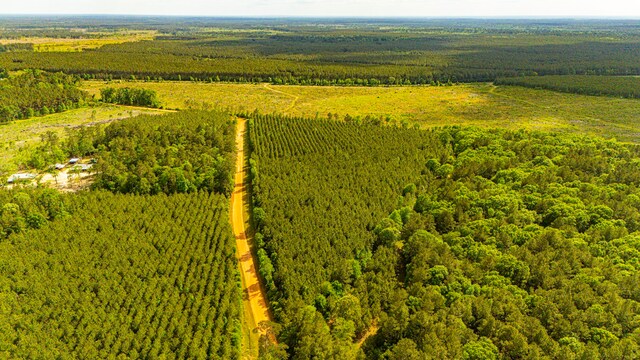 TBD Menard Chapel Rd, Livingston, TX 77351