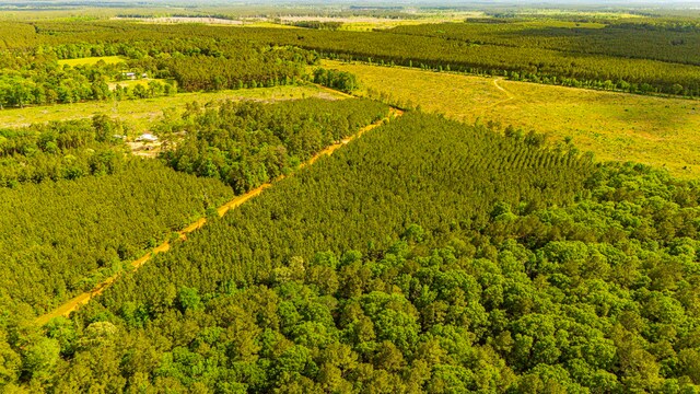 TBD Menard Chapel Rd, Livingston, TX 77351