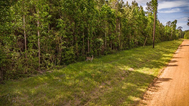 TBD Menard Chapel Rd, Livingston, TX 77351