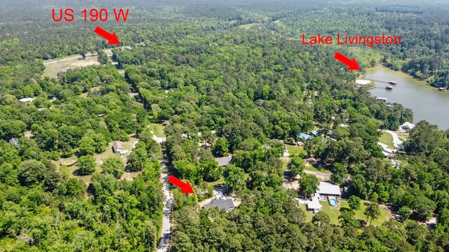 bird's eye view featuring a view of trees and a water view