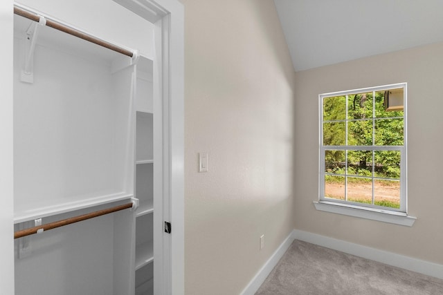 walk in closet with vaulted ceiling and carpet flooring