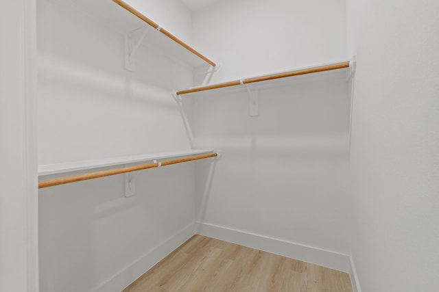 walk in closet with light wood-type flooring
