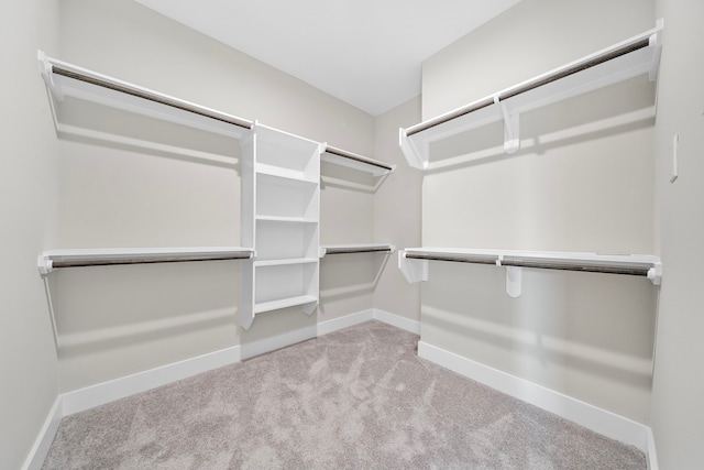 spacious closet with carpet floors