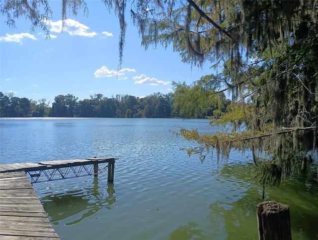 365 County Road 2600, Cleveland, TX 77327 - photo 1