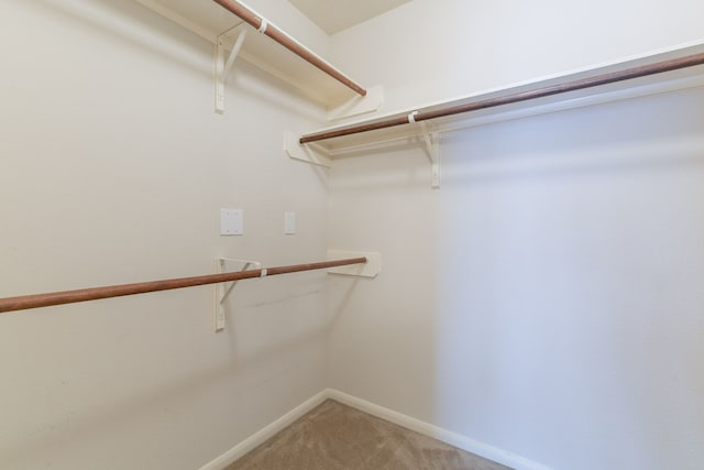 walk in closet featuring light colored carpet