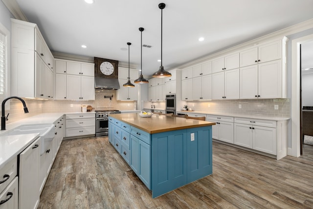 kitchen with ventilation hood, stainless steel appliances, a sink, blue cabinetry, and white cabinetry
