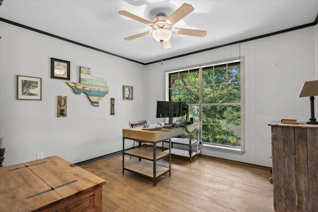 1492 Sleepy Hollow Ln, Canton, TX 75103 - office area with crown molding, ceiling fan, light wood-style floors, and baseboards