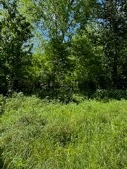 57 County Road 2862, Cleveland, TX 77327 - photo 11