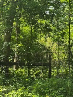 57 County Road 2862, Cleveland, TX 77327 - photo 4