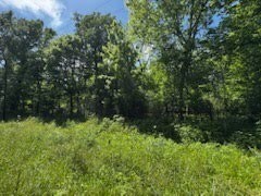 57 County Road 2862, Cleveland, TX 77327 - photo 5