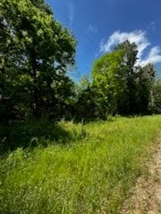 57 County Road 2862, Cleveland, TX 77327 - photo 7