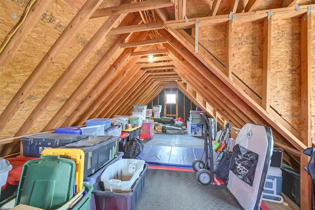 314 Del Monte Dr, Friendswood, TX 77546 - view of unfinished attic