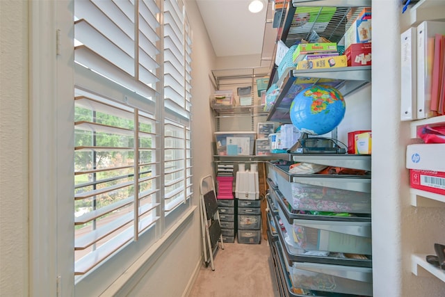 314 Del Monte Dr, Friendswood, TX 77546 - view of storage room