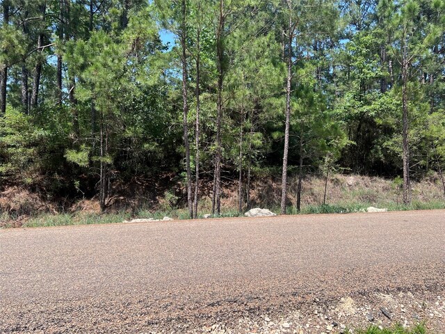 TBD E Moonlight Dr, Onalaska, TX 77360