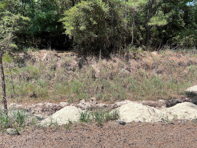 TBD E Moonlight Dr, Onalaska, TX 77360