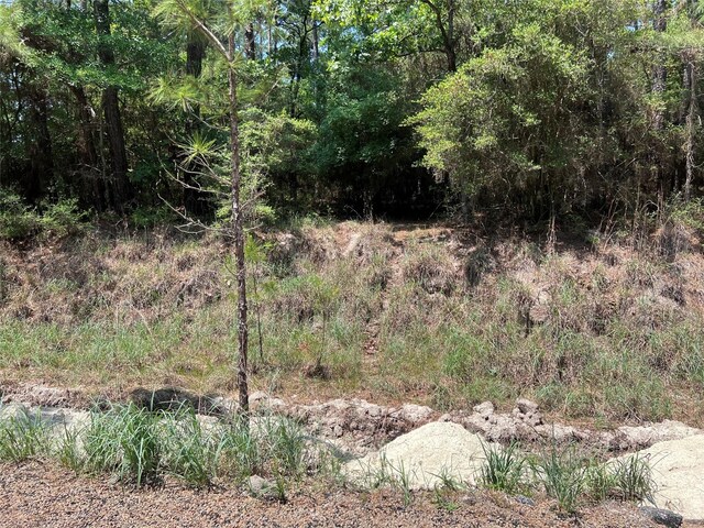 TBD E Moonlight Dr, Onalaska, TX 77360