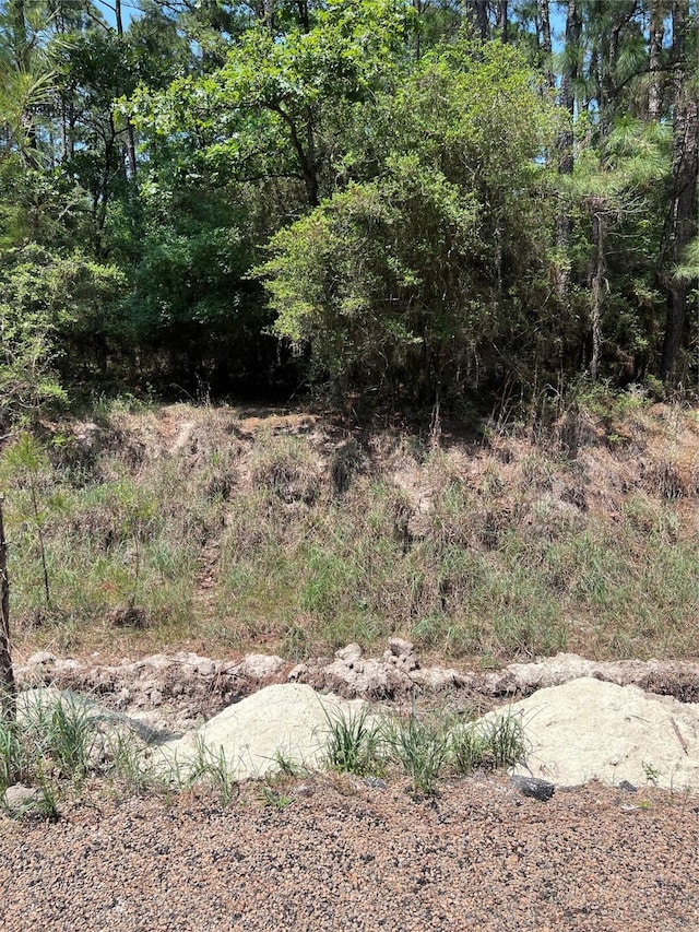 TBD E Moonlight Dr, Onalaska, TX 77360