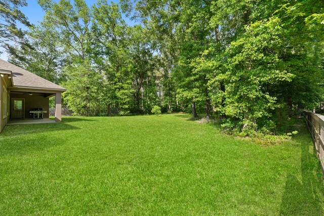17111 Paluxy Ct, Splendora, TX 77372 - view of yard with a patio
