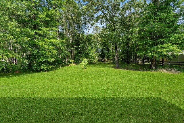 17111 Paluxy Ct, Splendora, TX 77372 - view of yard
