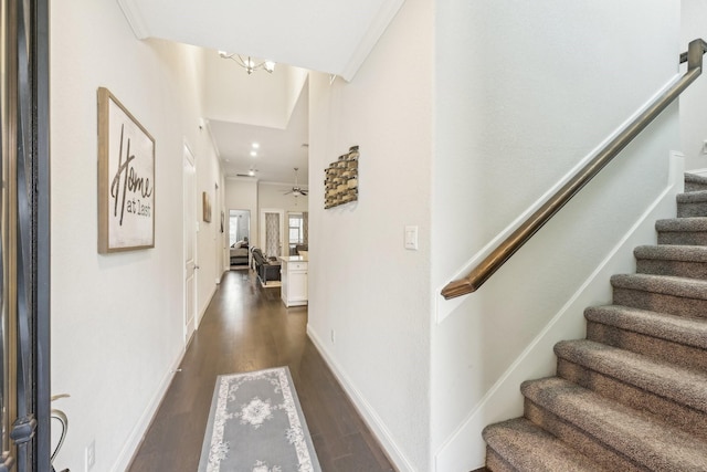 foyer featuring baseboards, dark wood finished floors, a chandelier, and stairs