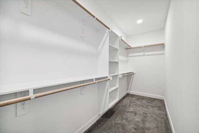 765 Enterprise St Unit C, Houston, TX 77088 - walk in closet with dark colored carpet