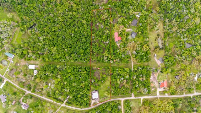 6310 Wickwillow Ln, Alvin, TX 77511 - bird's eye view