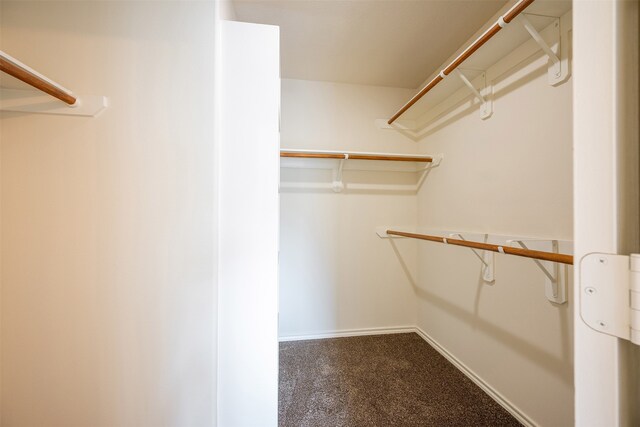 spacious closet with carpet flooring