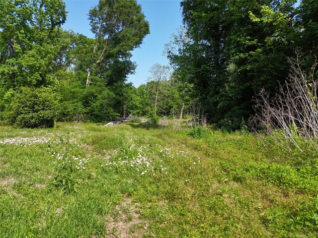 TBD Lauper Ln, Cleveland, TX 77327 - photo 6