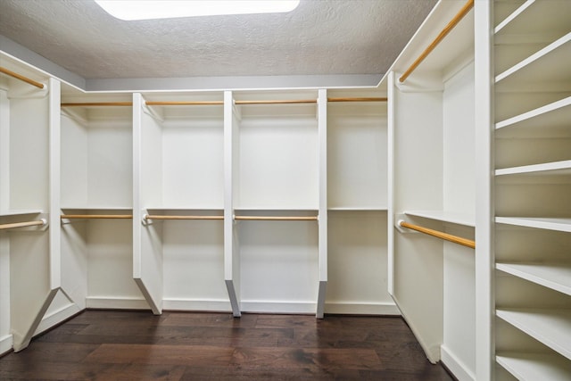 spacious closet featuring dark wood-style flooring