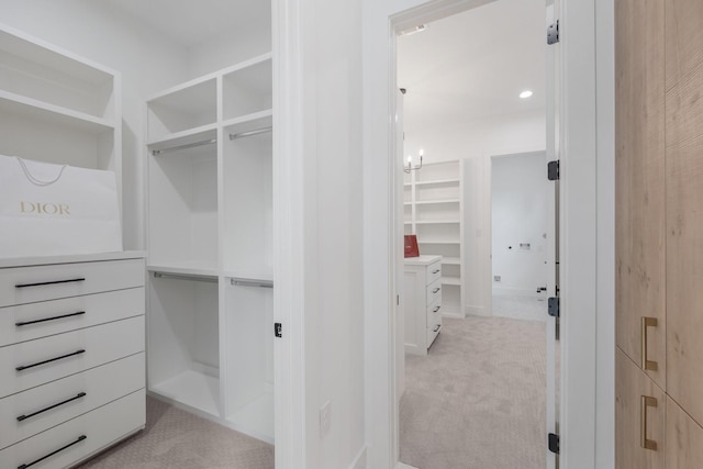 spacious closet with light carpet