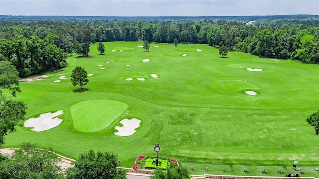 119 Buckeye Dr, Montgomery, TX 77316 - aerial view featuring golf course view