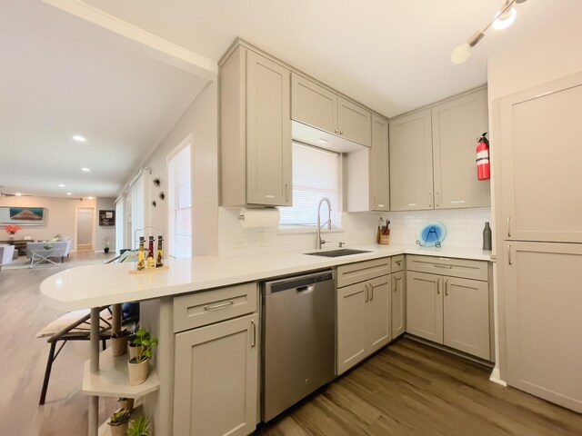kitchen with dishwasher, backsplash, dark wood finished floors, and a sink
