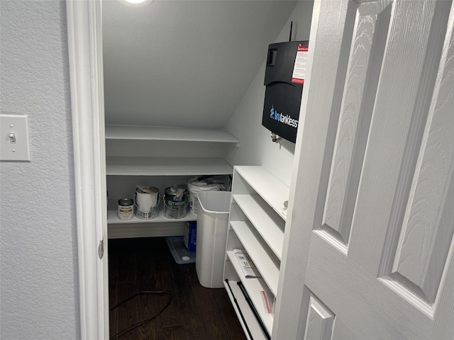 walk in closet featuring dark wood-type flooring