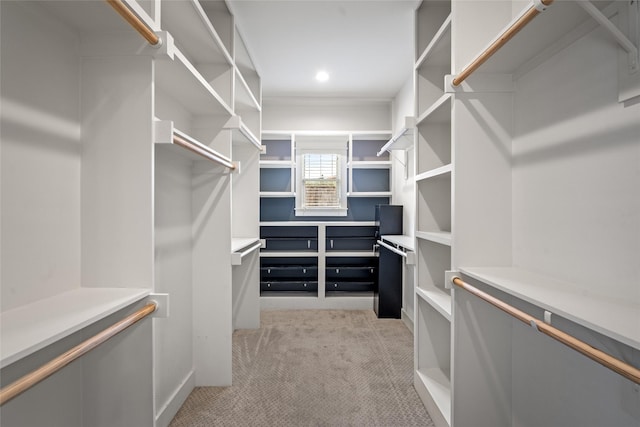 spacious closet with light colored carpet