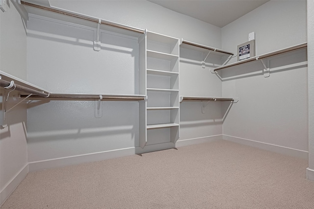spacious closet featuring carpet