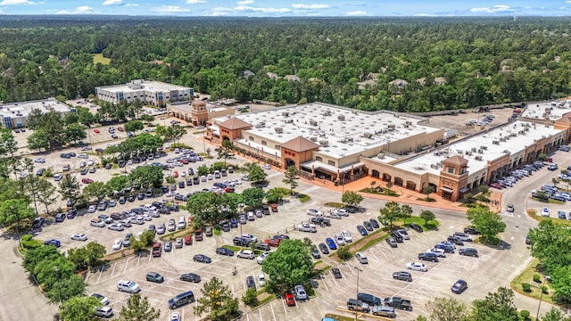 bird's eye view of a forest