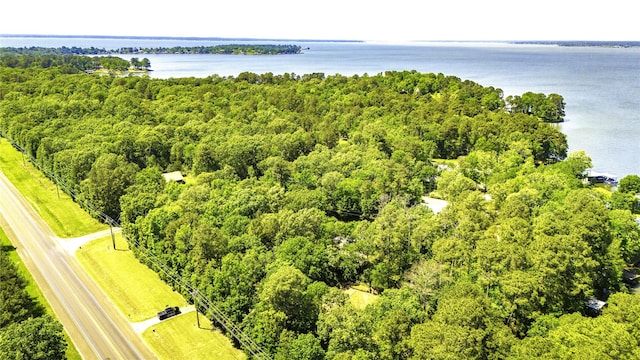 110 Dickens Landing Dr, Livingston, TX 77351 - birds eye view of property featuring a water view and a view of trees