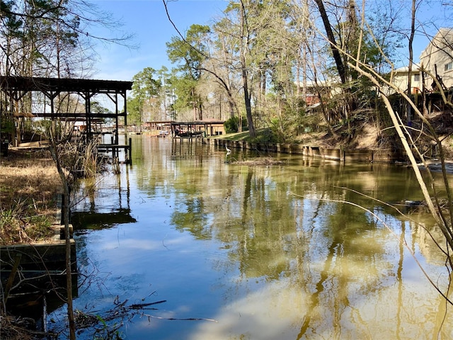 110 Dickens Landing Dr, Livingston, TX 77351 - exterior space