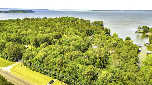 110 Dickens Landing Dr, Livingston, TX 77351 - drone / aerial view with a water view and a view of trees