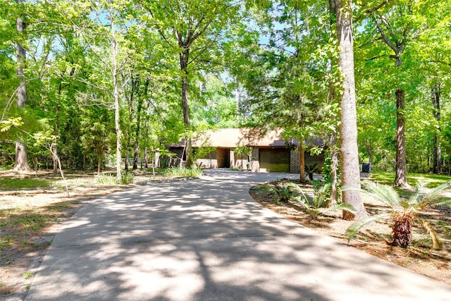 110 Dickens Landing Dr, Livingston, TX 77351 - ranch-style home featuring a garage and driveway