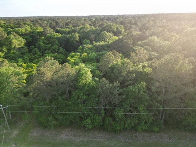 17746 Derby Dr, Waller, TX 77484