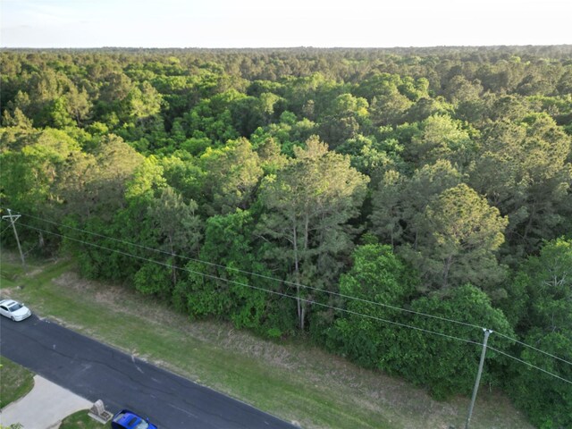 17746 Derby Dr, Waller, TX 77484