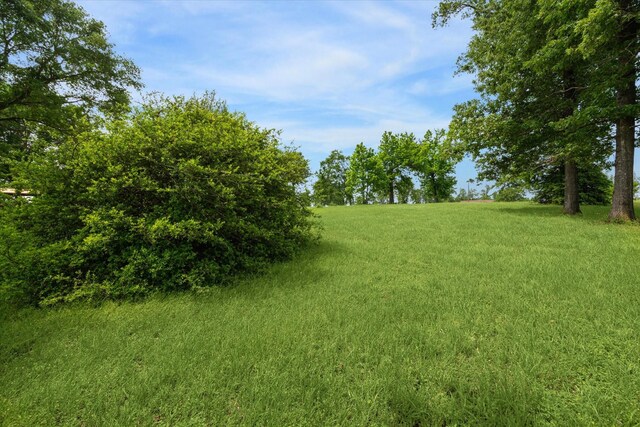 TBD Emerald Lane, Onalaska, TX 77360 - photo 9