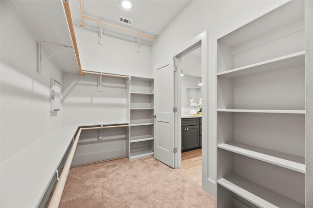 1044 Homer St, Houston, TX 77091 - spacious closet with light carpet